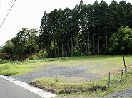 4328717